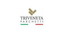 Triveneta parchetti
